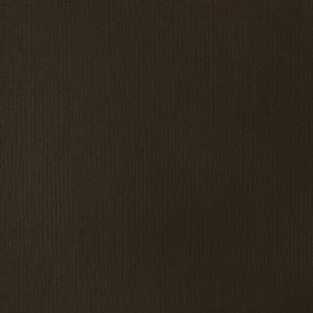 Raw Umber Basics Acrylic 118ml