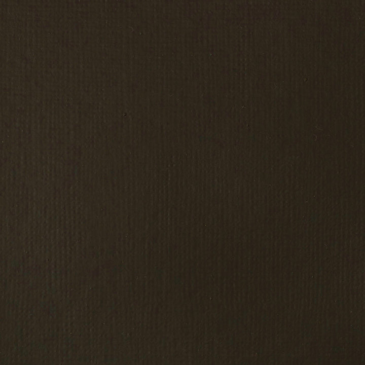 Raw Umber Basics Acrylic 118ml