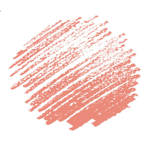 049 Light Orange Conte Crayon
