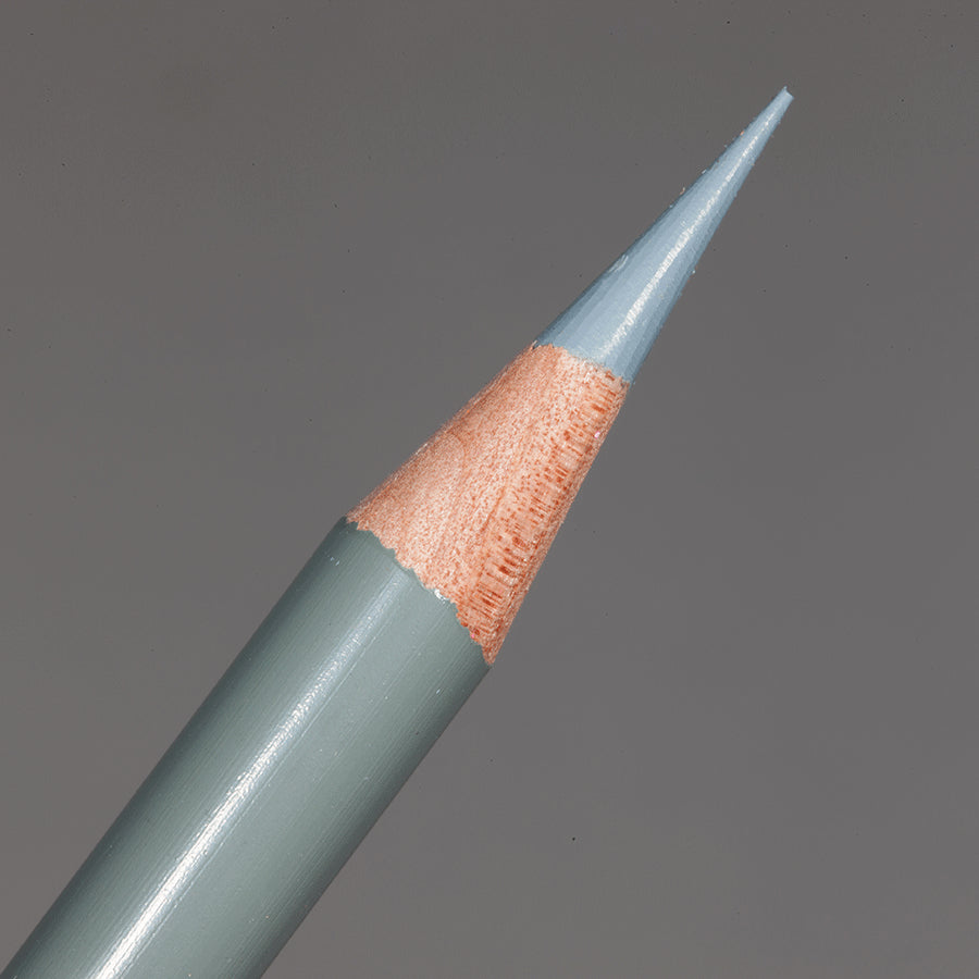 Cool Grey 50% Prismacolour PC1063