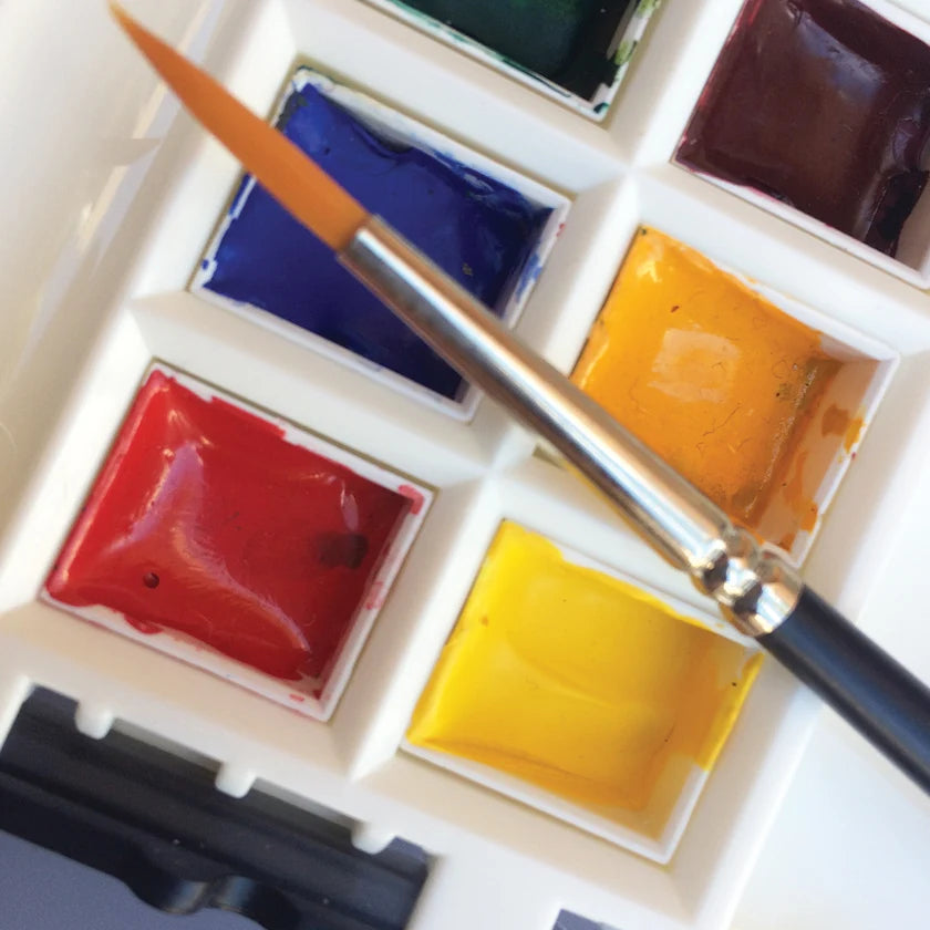Portable Painter | Classic Half Pans (12)