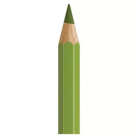 Albrecht 168 Earth Green Yellowish
