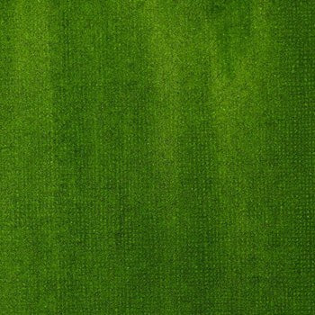 Sap Green Permanent Liquitex Acrylic Ink 30ml