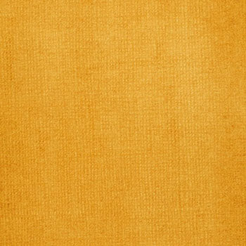 Transparent Raw Sienna Liquitex Acrylic Ink 30ml