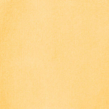 Yellow Oxide Liquitex Acrylic Ink 30ml