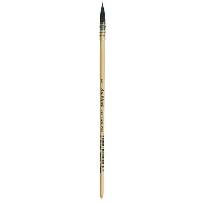 418 Da Vinci Squirrel