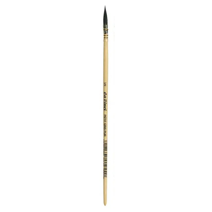 418 Da Vinci Squirrel