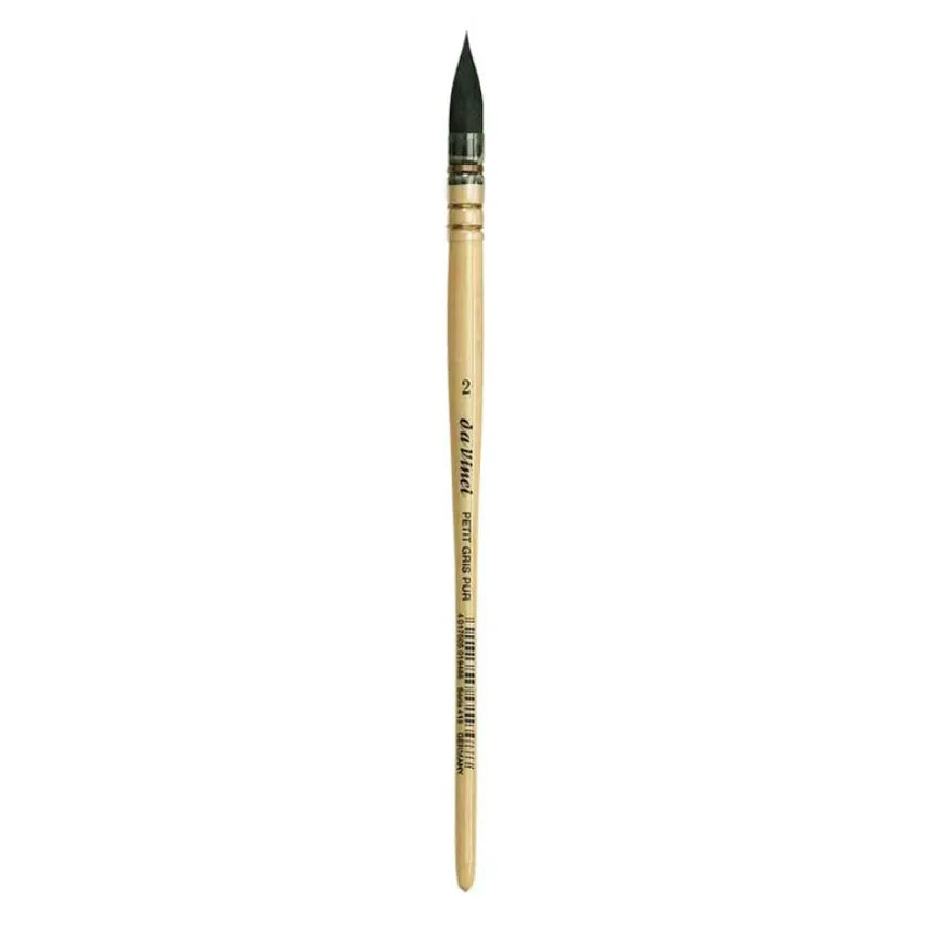 418 Da Vinci Squirrel