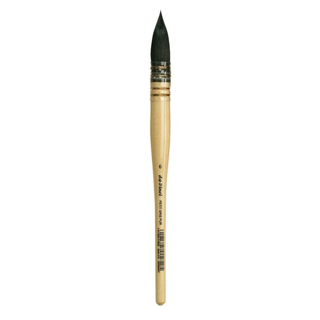 418 Da Vinci Squirrel