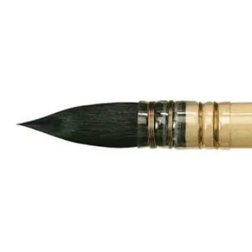 418 Da Vinci Squirrel