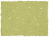 Sap Green 480A Art Spectrum Square Pastel
