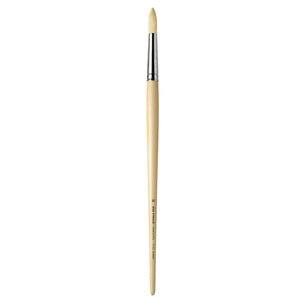7700 Da Vinci MAESTRO round medium