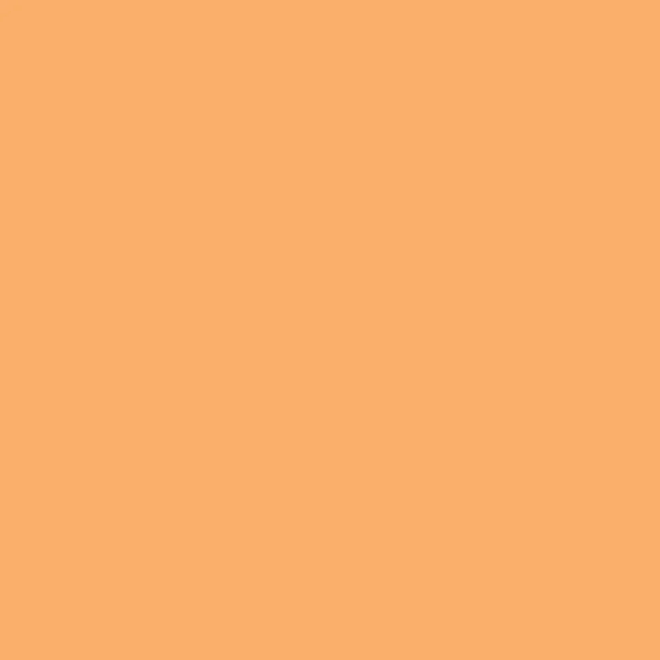 Apricot (O538) Winsor Pro Marker