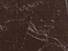 Burnt Umber Gamblin 1980