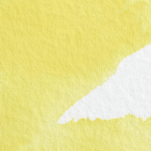Bismuth Yellow S3 Winsor &amp; Newton 1/2 Pan