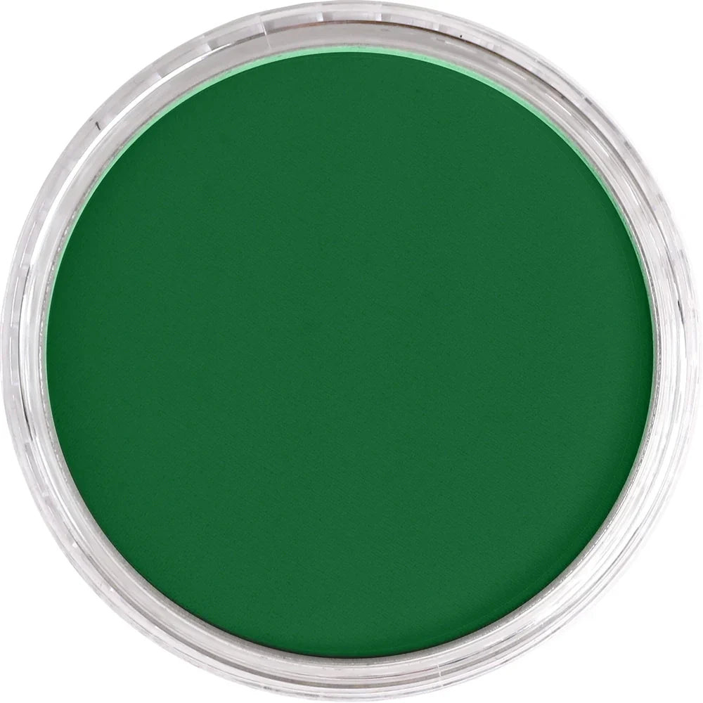 Blue Green Shade 670.3 PAN PASTEL