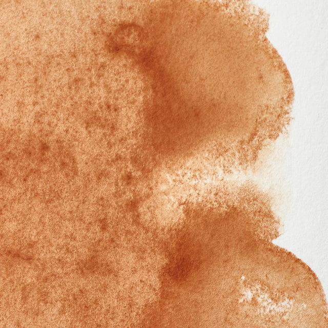 Brown Ochre S1 Winsor &amp; Newton 1/2 Pan