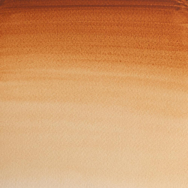 Brown Ochre S1 Winsor &amp; Newton 1/2 Pan