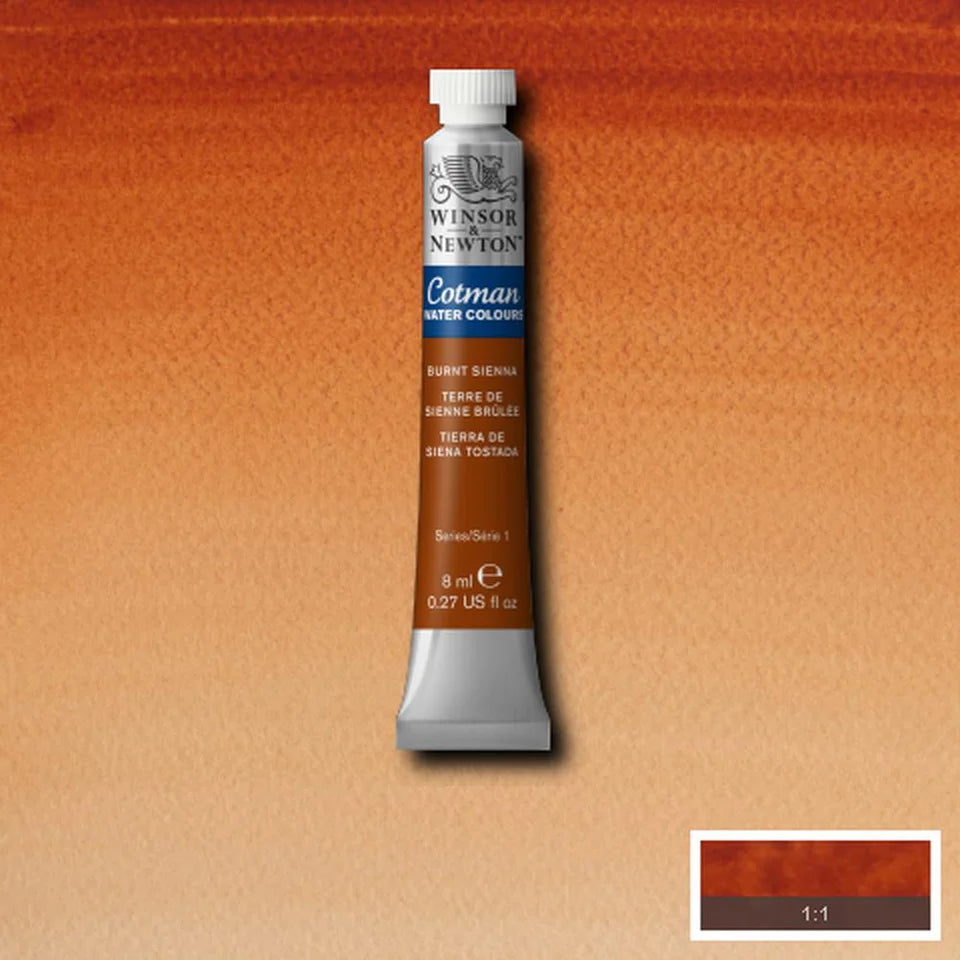 Burnt Sienna Cotman 8ml