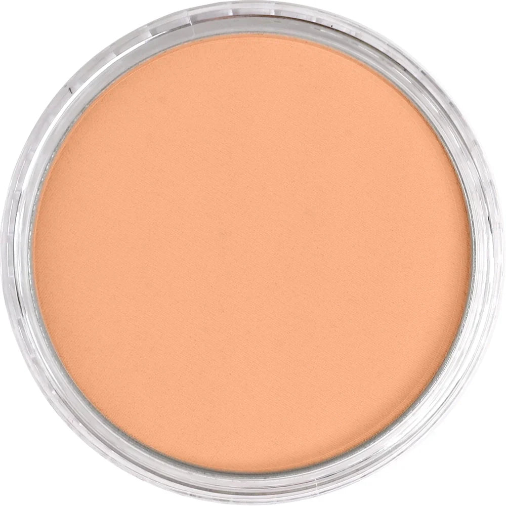 Burnt Sienna Light 740.7 PAN PASTEL