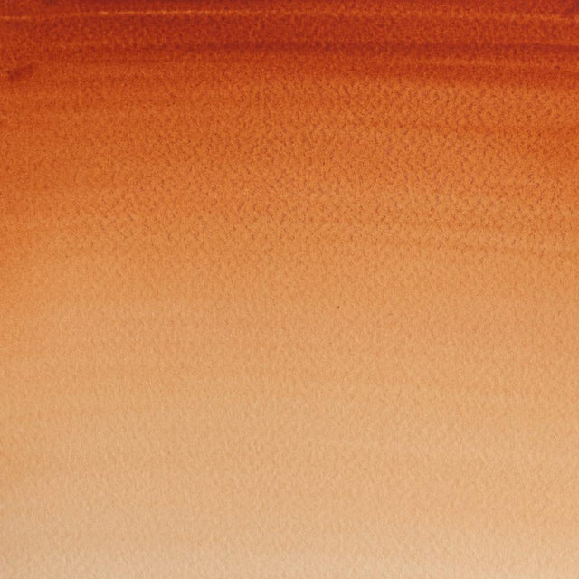 Burnt Sienna Cotman 8ml