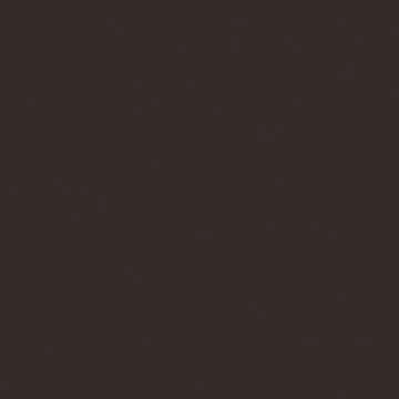 Burnt Umber Liquitex Spray Paint 400ml Can