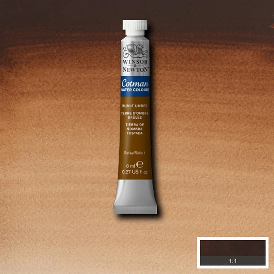 Burnt Umber Cotman 8ml