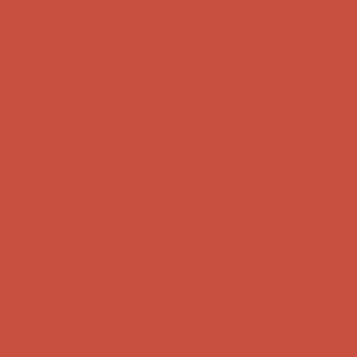 Burnt Orange (R946) Winsor Pro Marker