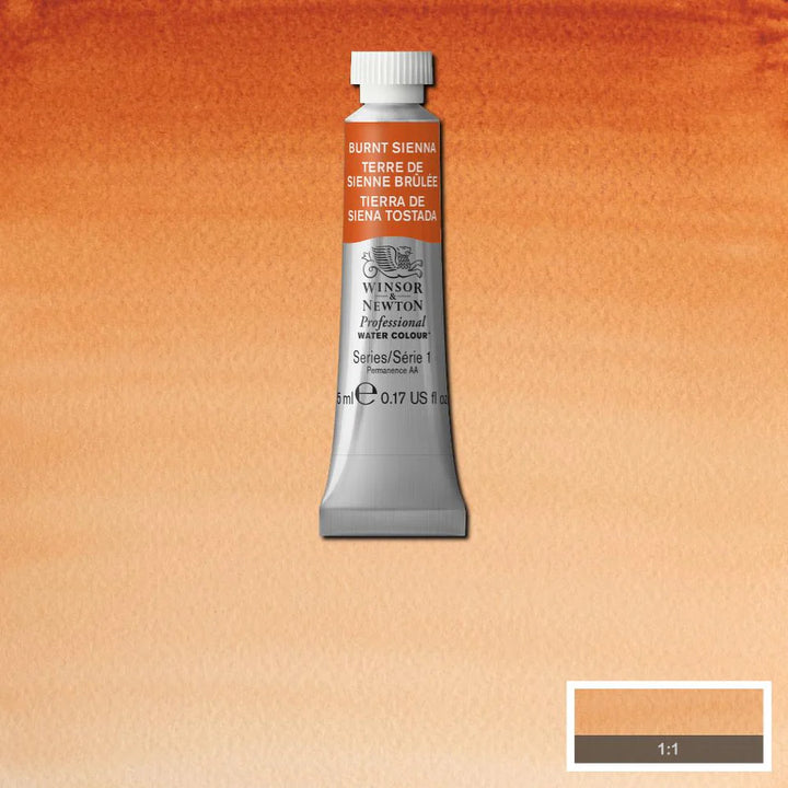 Burnt Sienna Awc Winsor &amp; Newton