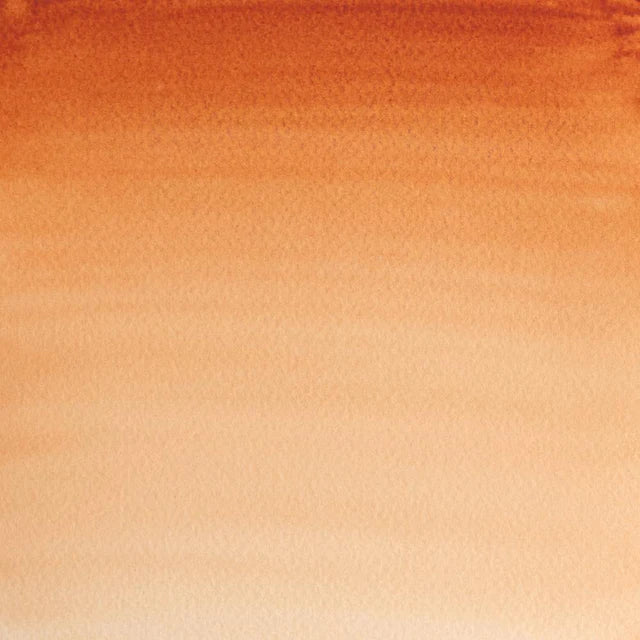 Burnt Sienna Awc Winsor &amp; Newton