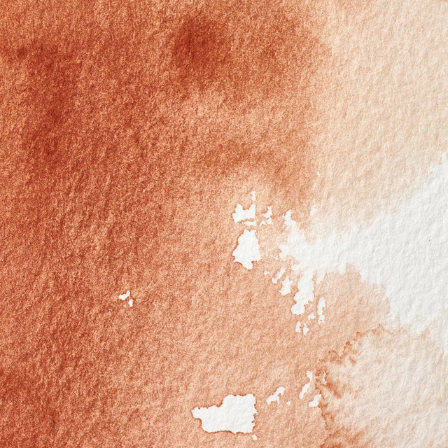 Burnt Sienna Awc Winsor &amp; Newton