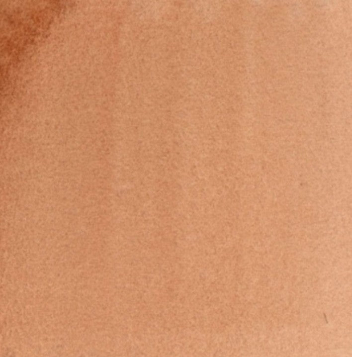 Burnt Sienna Light DANIEL SMITH 1/2 Pan