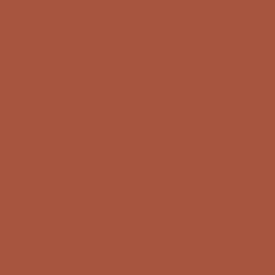 Burnt Umber (R646) Winsor Pro Marker