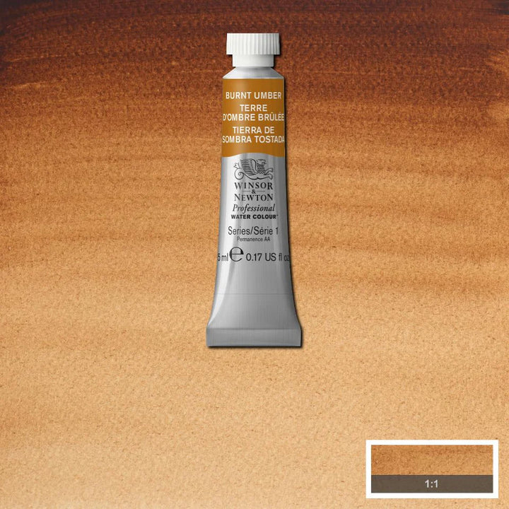 Burnt Umber Awc Winsor &amp; Newton