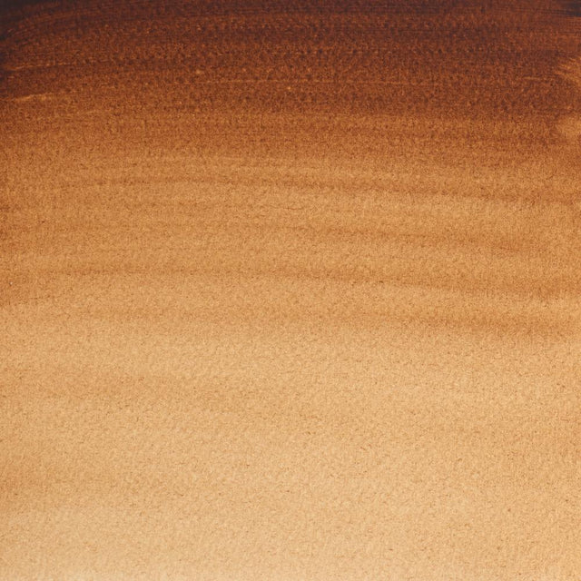 Burnt Umber S1 Winsor &amp; Newton 1/2 Pan