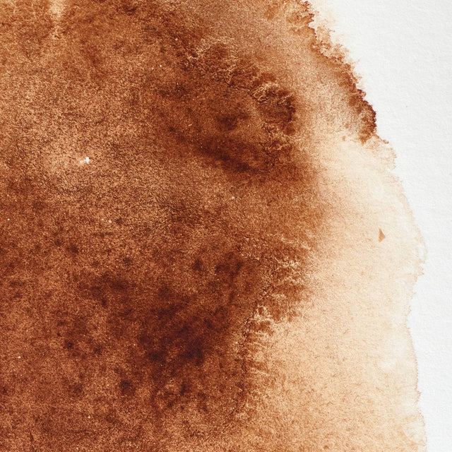 Burnt Umber S1 Winsor &amp; Newton 1/2 Pan