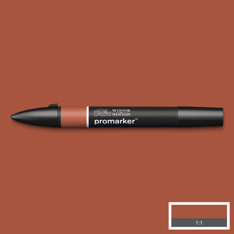 Burnt Umber (R646) Winsor Pro Marker