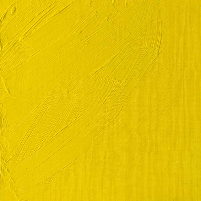 Cadmium Lemon Winsor &amp; Newton Aoc 37ml
