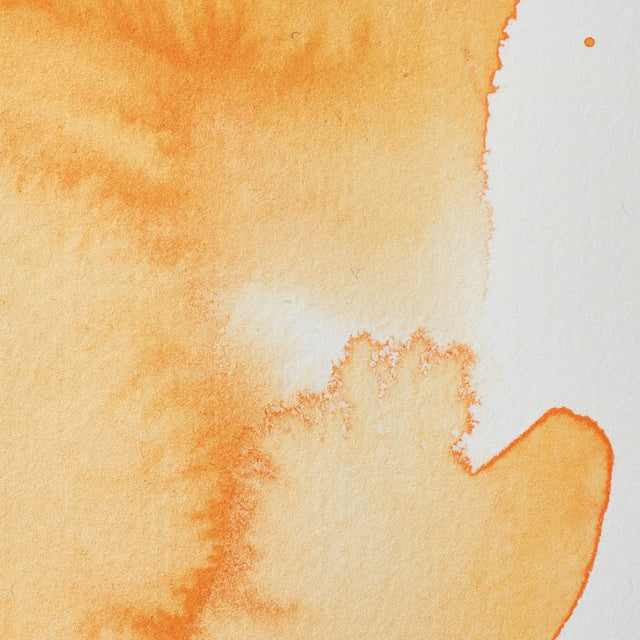 Cadmium Orange Awc Winsor &amp; Newton