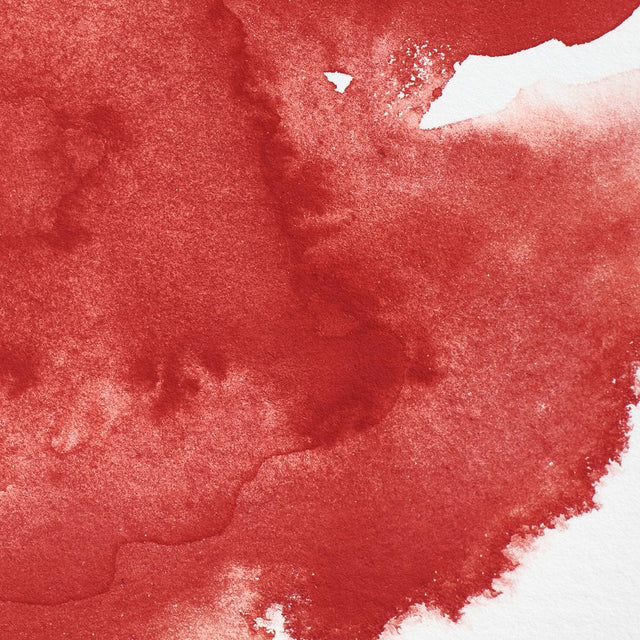 Cadmium Red S4 Winsor &amp; Newton 1/2 Pan