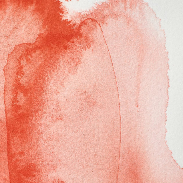 Cadmium Scarlet S4 Winsor &amp; Newton 1/2 Pan