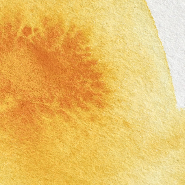 Cadmium Yellow Deep Awc Winsor &amp; Newton
