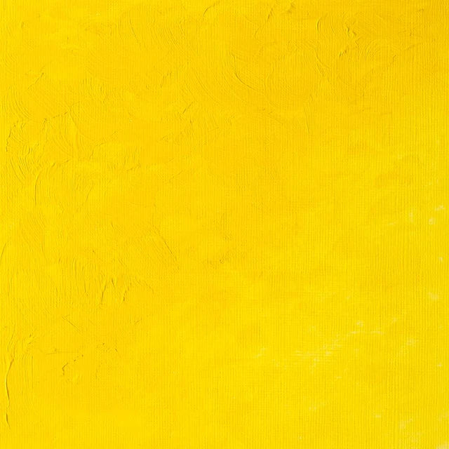 Cadmium Yellow Lt Griffin 37ml