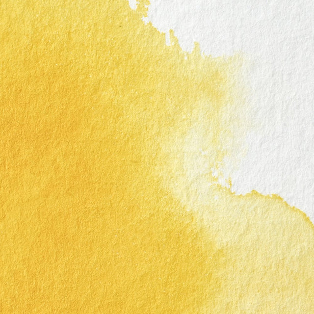 Cadmium Yellow Pale S4 Winsor &amp; Newton 1/2 Pan