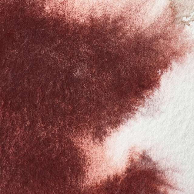 Caput Mortuum Violet Awc Winsor &amp; Newton