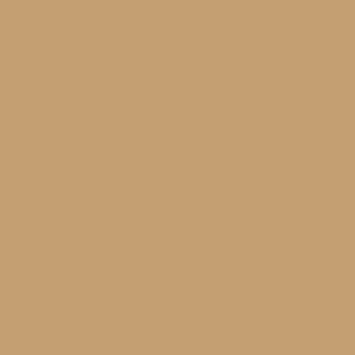 Caramel (O727) Winsor Pro Marker