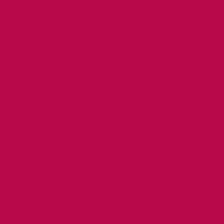 Cardinal Red (R244) Winsor Pro Marker