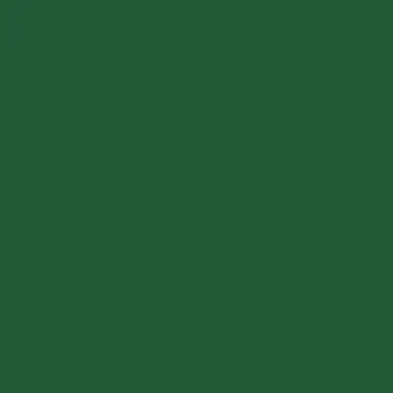 Chromium Oxide Green Liquitex Spray Paint 400ml Can