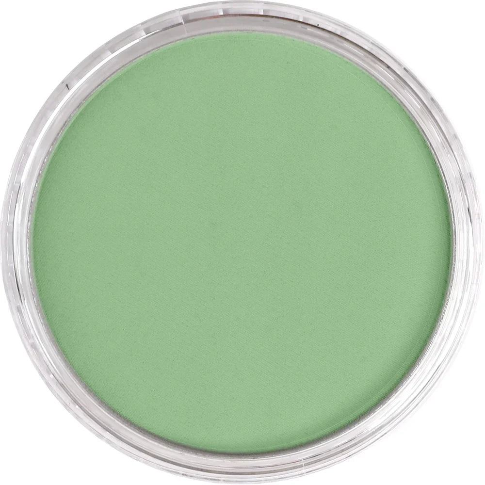 Chromium Oxide Green Light 660.7 PAN PASTEL