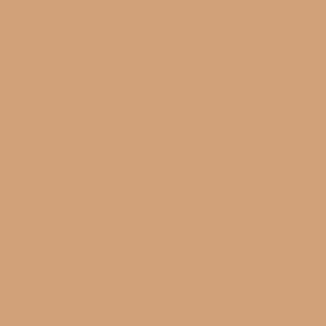Cinnamon (O427) Winsor Brush Marker